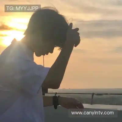 沈辉